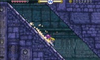 Wario Land : The Shake Dimension