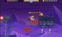 Wario Land : The Shake Dimension