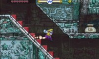 Wario Land : The Shake Dimension