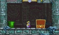 Wario Land : The Shake Dimension