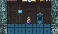 Wario Land : The Shake Dimension