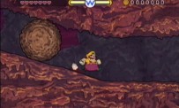 Wario Land : The Shake Dimension