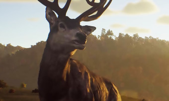 Way of the Hunter : exploration, chasse et conduite, le gameplay se révèle en vi
