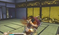 Way of The Samurai 2