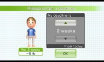 Wii Fit