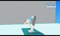 Wii Fit