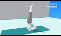 Wii Fit