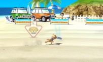 Wii Sports Resort