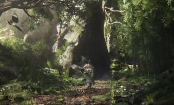 Woochi the Wayfarer