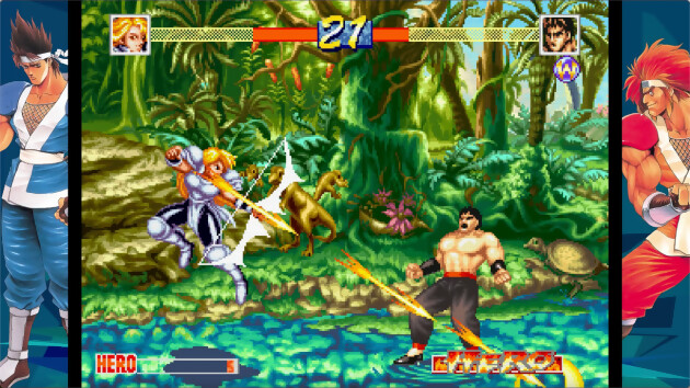 World Heroes Perfect