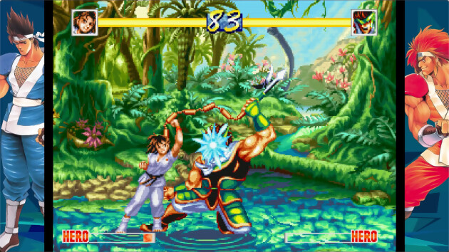 World Heroes Perfect