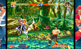 World Heroes Perfect