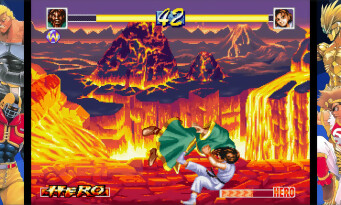 World Heroes Perfect