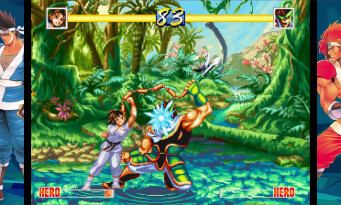 World Heroes Perfect