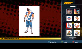 World Heroes Perfect