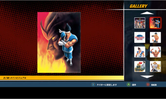 World Heroes Perfect