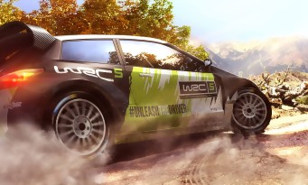 WRC 5