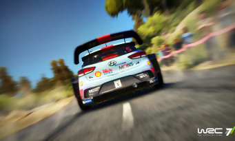 WRC 7