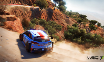 WRC 7