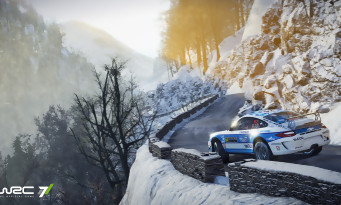 WRC 7