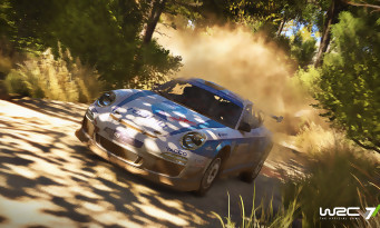 WRC 7