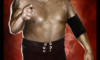 WWE 2K14