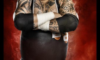 WWE 2K14