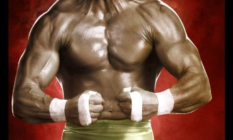 WWE 2K14