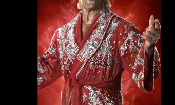 WWE 2K14