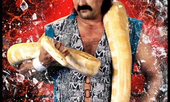 WWE 2K16