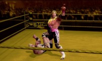WWE All-Stars - Bret Hart finish