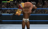 WWE Smackdown! VS Raw 2007