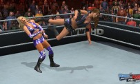 WWE Smackdown VS Raw 2011