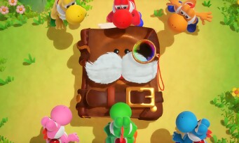 Yoshi and the Mysterious Book