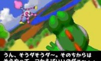 Yoshi's Universal Gravitation