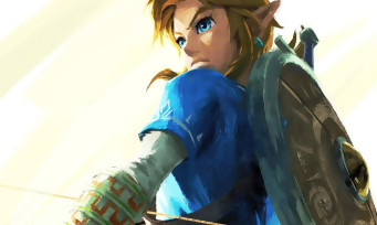 Zelda Breath of the Wild : on sait combien pèse le jeu sur Switch et Wii U